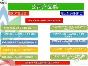深耕日用品貿易 零售與批發(fā)進口的戰(zhàn)略布局與市場機遇
